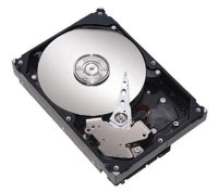 Seagate 300 GB Hard Disk (STM3300622A)